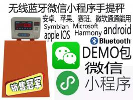 微信小程序便攜手提電子秤 藍牙無(wú)線(xiàn)低功率電子稱(chēng)